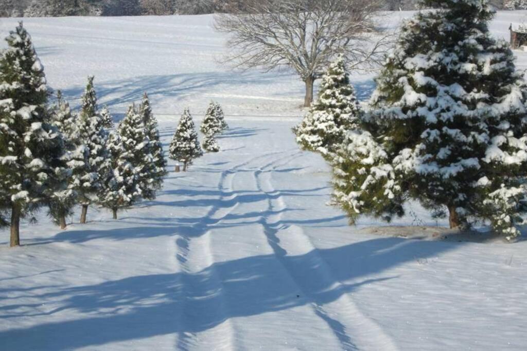 Rural Life On A Real Christmas Tree Farm! Hallmark Experience! Ozark Luaran gambar