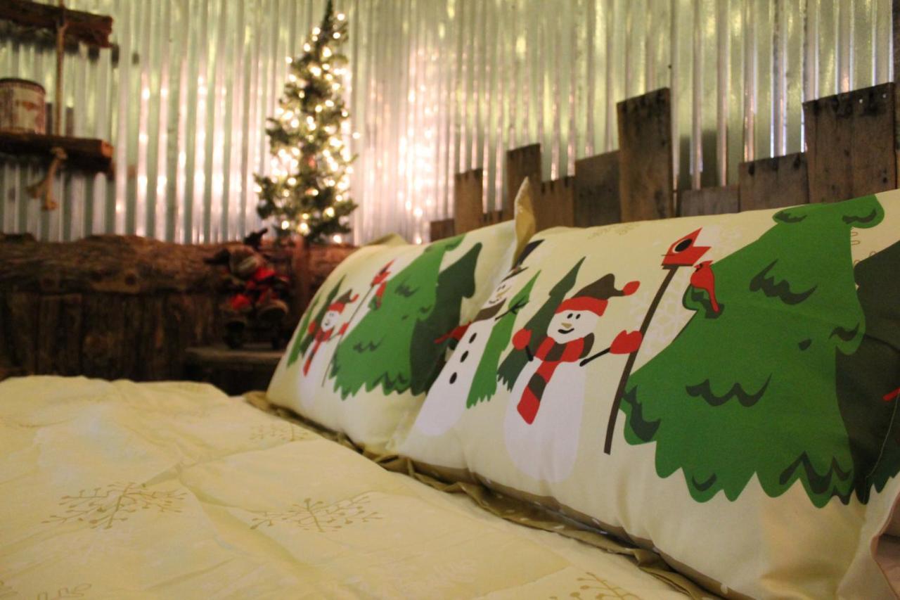 Rural Life On A Real Christmas Tree Farm! Hallmark Experience! Ozark Luaran gambar