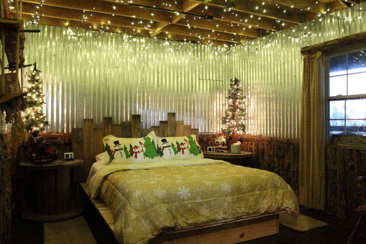 Rural Life On A Real Christmas Tree Farm! Hallmark Experience! Ozark Luaran gambar