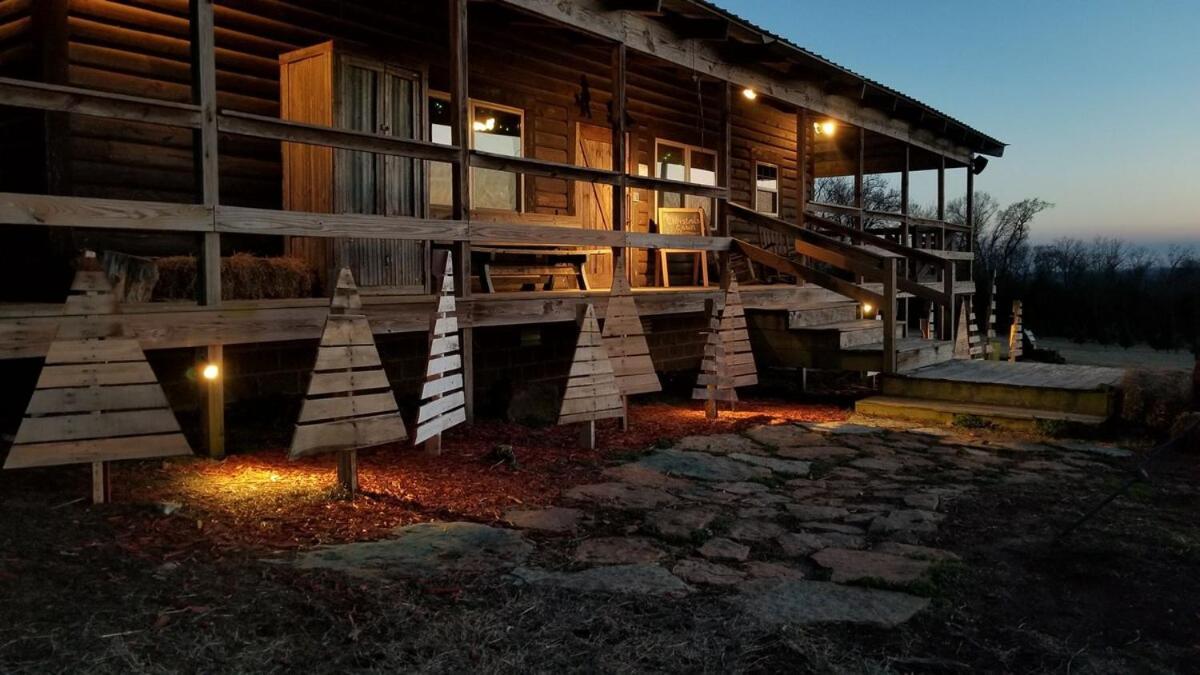 Rural Life On A Real Christmas Tree Farm! Hallmark Experience! Ozark Luaran gambar
