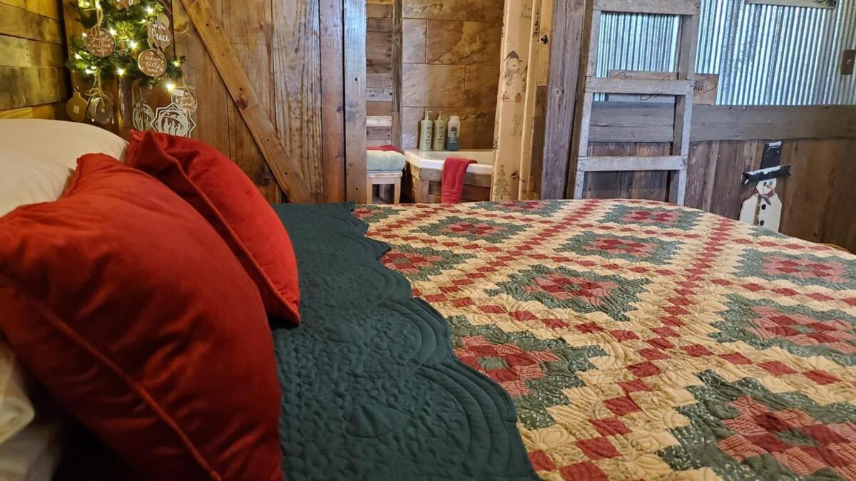 Rural Life On A Real Christmas Tree Farm! Hallmark Experience! Ozark Luaran gambar
